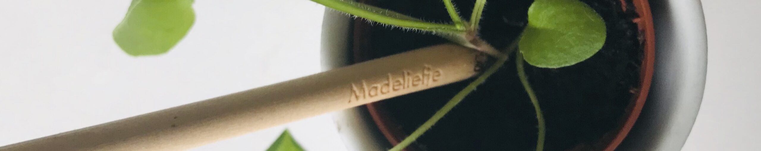 Growing pencils BLOOM your message